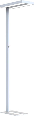 NCC-Licht Standleuchten & Deckenfluter, 40 W, Silber, LED Stehleuchte Lara Up & Down 2 x 8800lm Neutralweiß 4000K