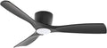 Lucande Deckenventilator, Metall, Schwarz, LED mit Lampe Moneno dimmbar Leselampe (Modern) in aus, ) - Ventilator Wohnzimmerleuchte